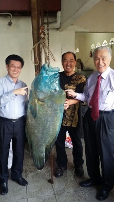 陈凯希（右）与陈祈福（左）于常光顾的巴生珍珠酒家，喜遇罕见的45公斤重苏眉鱼。