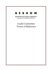 Audit Committee Terms of Reference