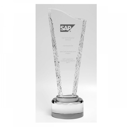SAP Awards for Customer Excellence 2011